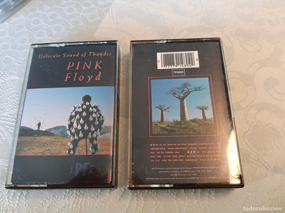 Casetes antiguos: RAR 2 CASSETTES. PINK FLOYD. DELICATE SOUND OF THUNDER. MADE IN SPAIN