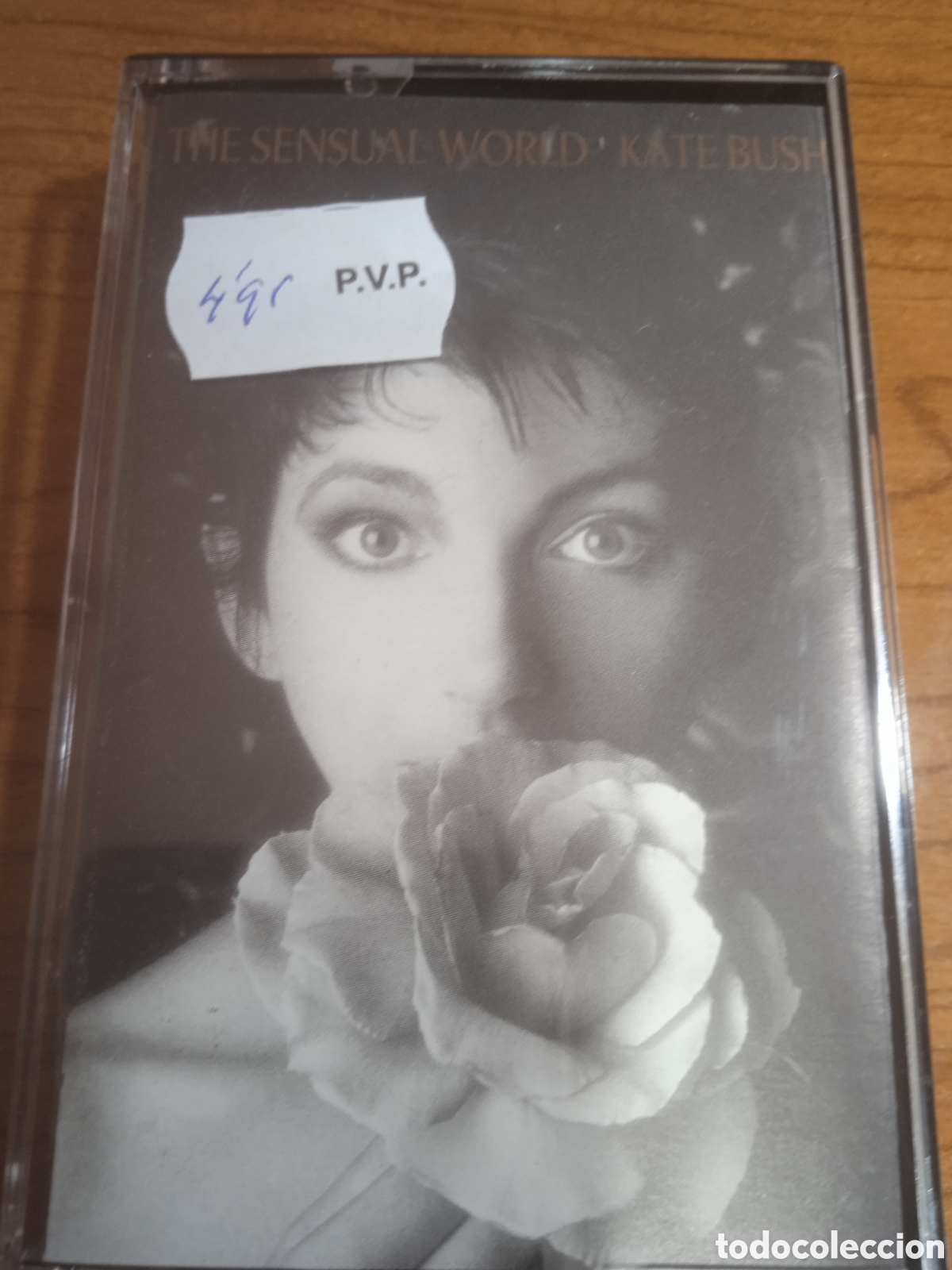 Casetes antiguos: Kate Bush - the sensual world.