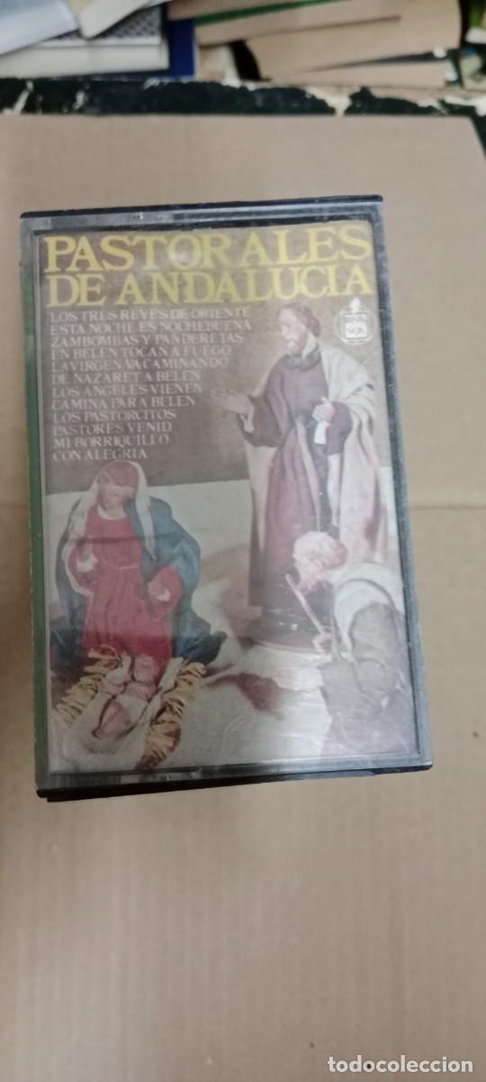 Casetes antiguos: PASTORALES DE ANDALUCIA CASETE MUSICA GG-22