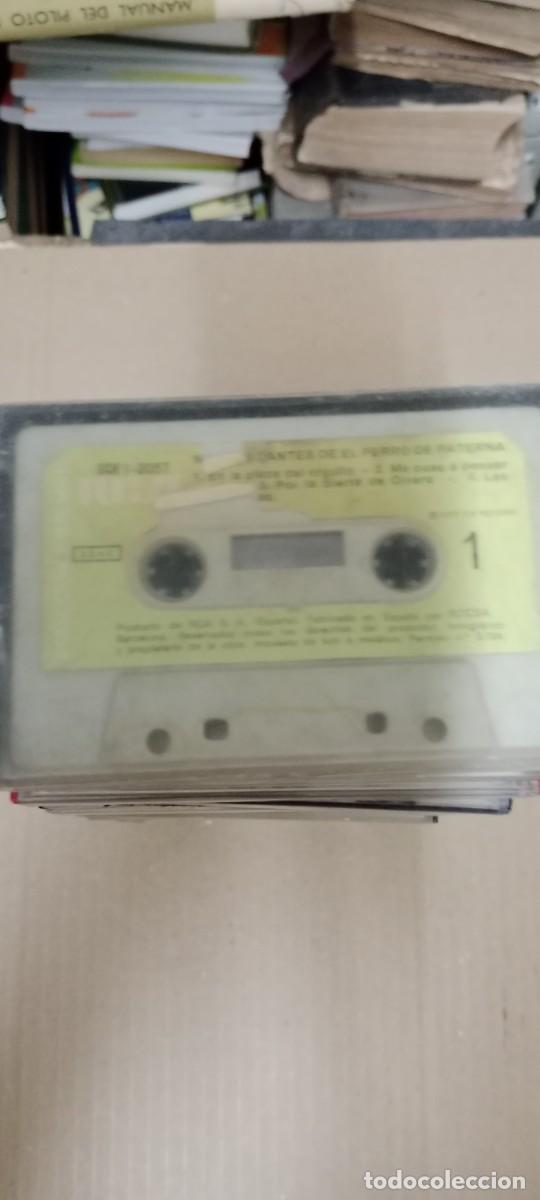 Casetes antiguos: CANTES PERRO DE PATERNA SOLO CINTA CASETE MUSICA GG-22