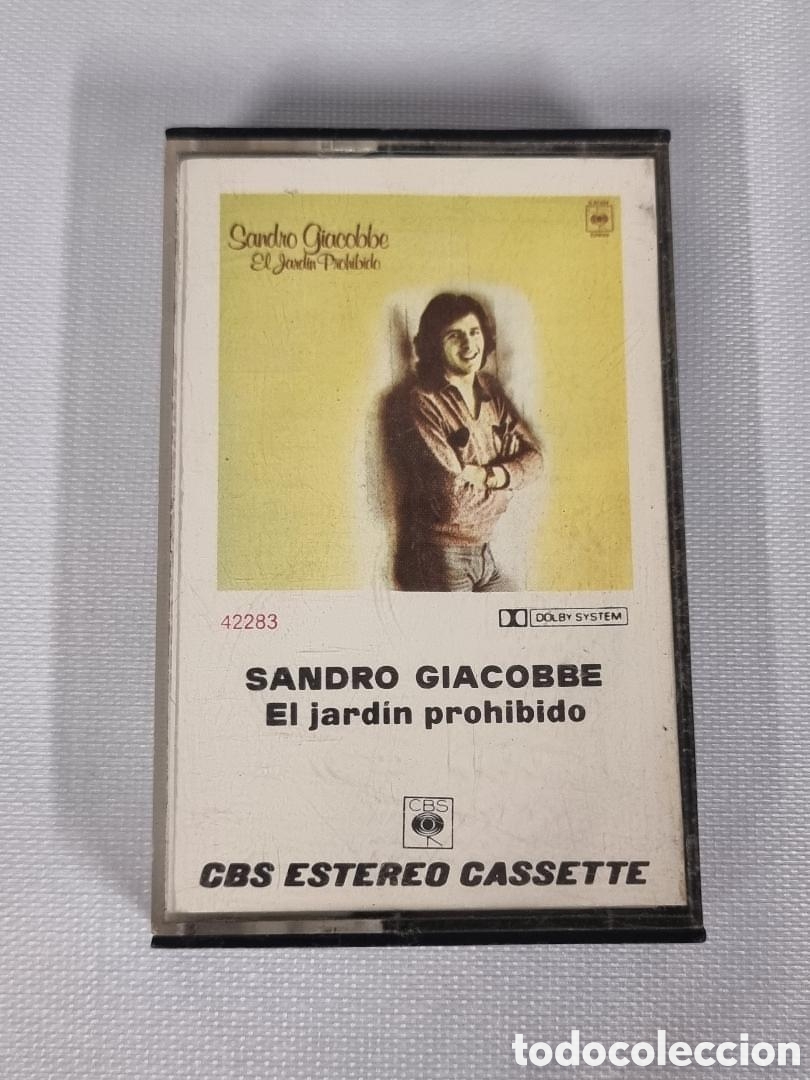 Casetes antiguos: Cinta Casete Sandro Giacobbe - El Jardin Prohibido
