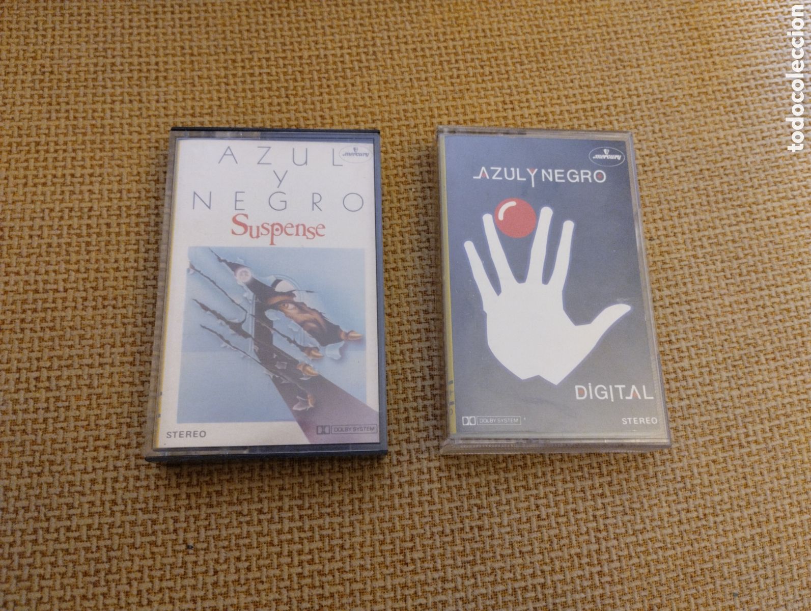 Casetes antiguos: Lote de cintas de casete Azul y Negro