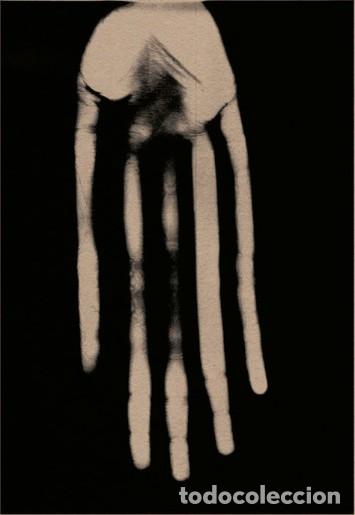 Casetes antiguos: Polseguera &ndash; Sa Mata Escrita (F&agrave;melic/Discos Walden/Discos Bubota, 2017) Casete - Ethereal, Shoegaze