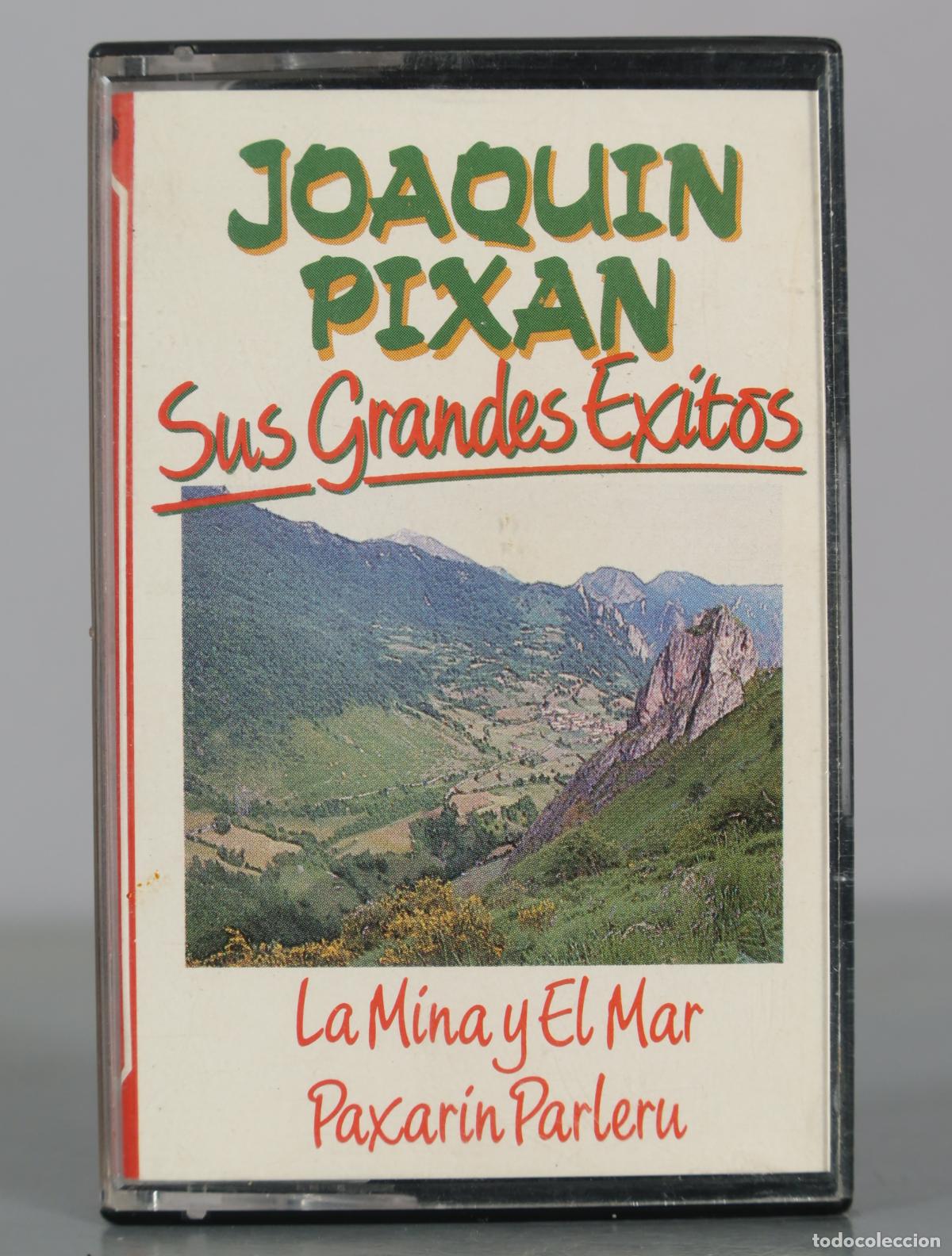 Casetes antiguos: CASSETTE. Sus Grandes Exitos - Joaquin Pixan