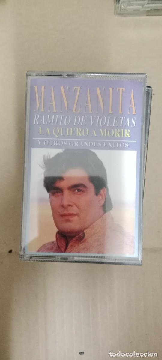 Casetes antiguos: MANZANITA RAMITO DE VIOLETAS CASETE MUSICA CAS-67