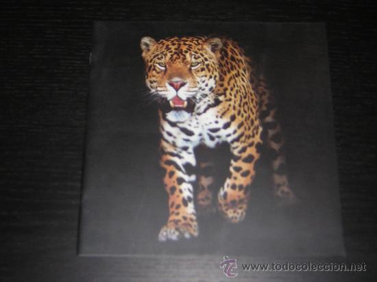 Coches y Motocicletas: JAGUAR GAMA - CATALOGO PUBLICIDAD ORIGINAL - A&Ntilde;OS 90 - ESPA&Ntilde;OL