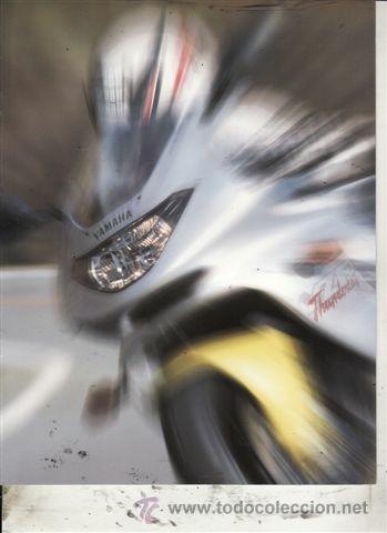 Coches y motocicletas: CAT&Aacute;LOGO PUBLICITARIO YAMAHA YZF 600R THUNDERCAT.