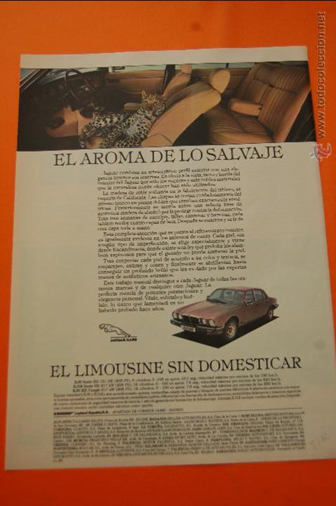 Coches y Motocicletas: PUBLICIDAD 1982 - COLECCION COCHES - JAGUAR LEYLAND ESPA&Ntilde;A - XJ6 XJ12 XJS