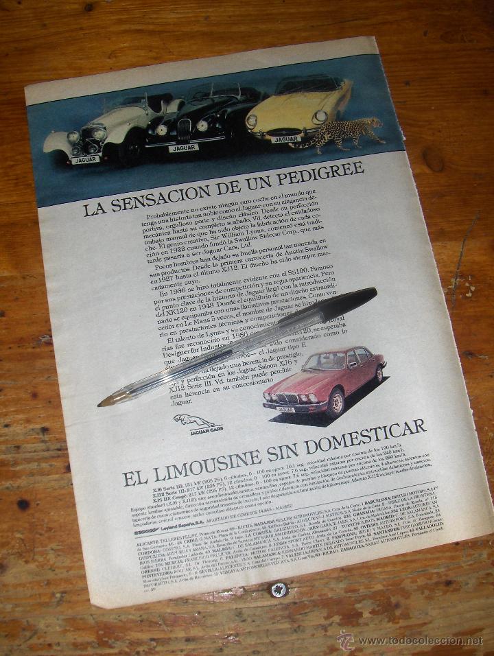 Coches y Motocicletas: JAGUAR, LA SENSACION DE UN PEDEGREE, EL LIMOUSINE SIN DOMESTICAR. PUBLICIDAD