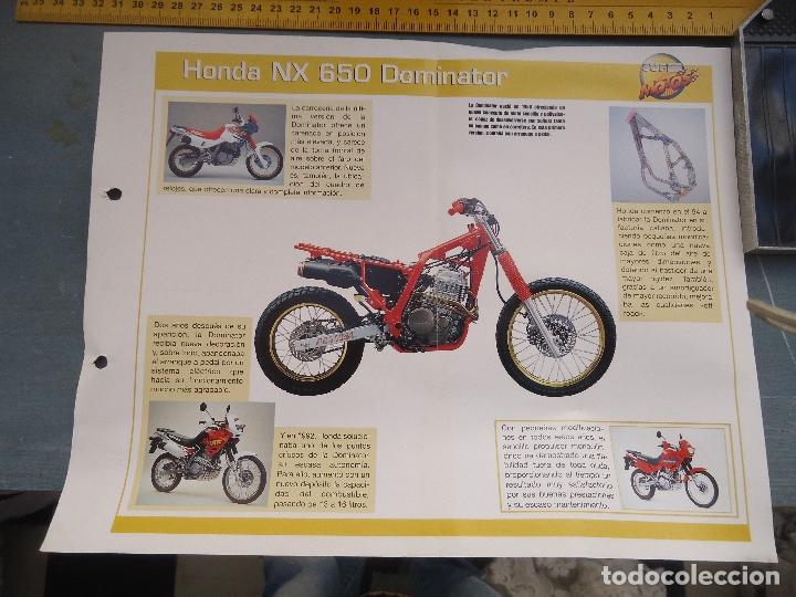 Coches y motocicletas: MOTO MOTOR HONDA DOMINATOR