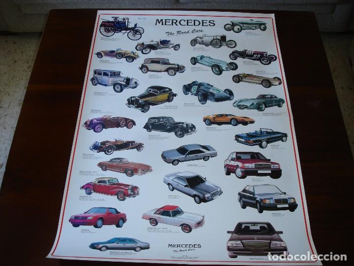 Coches y Motocicletas: POSTER CON DIFERENTES MODELOS DE LA MARCA MERCEDES - 93X64 CM