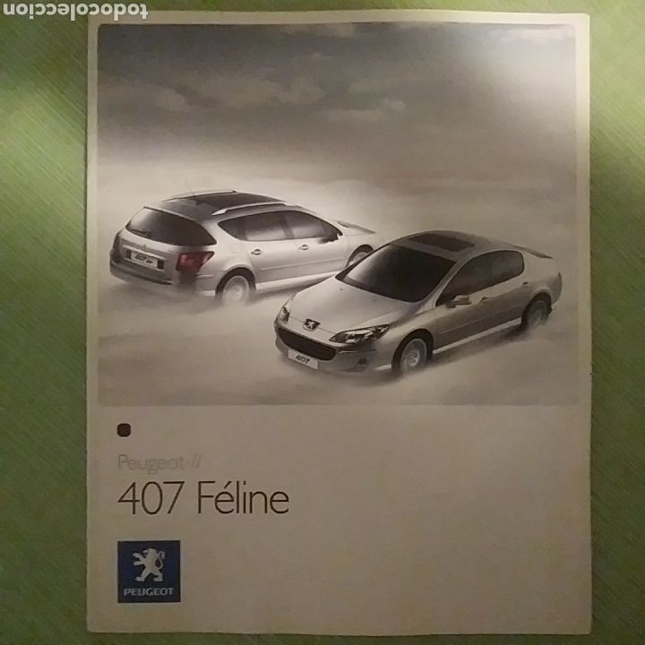 Coches y Motocicletas: Cat&aacute;logo Peugeot 407 F&eacute;line
