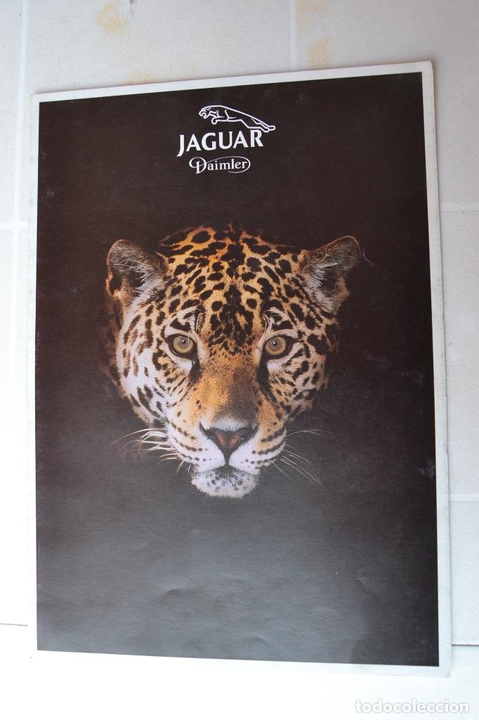 Coches y Motocicletas: 1994 CAT&Aacute;LOGO JAGUAR MODELOS