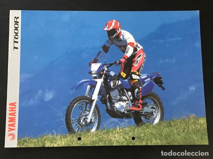 Coches y motocicletas: YAMAHA TT 600 R - FOLLETO CATALOGO ORIGINAL - EN ESPA&Ntilde;OL - A&Ntilde;O 2002/03