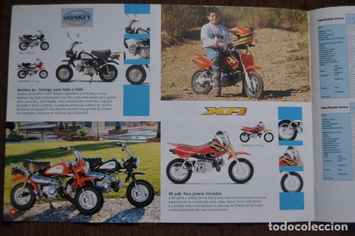 Coches y motocicletas: 2003 CAT&Aacute;LOGO MOTOCICLOS HONDA SCOOTERS - 125cc Y 50cc