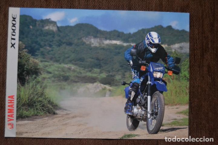 Coches y motocicletas: 1999 CATALOGO MOTOCICLOS YAMAHA XT600E