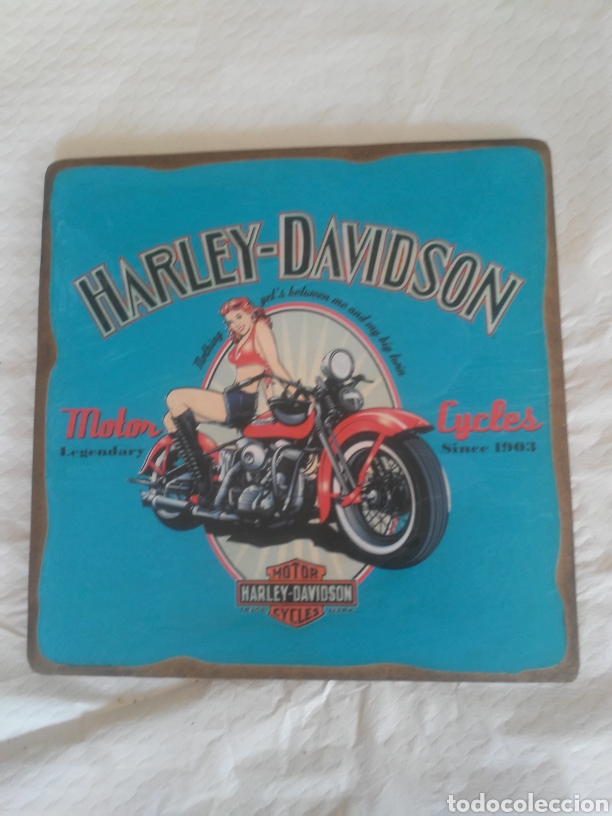 Coches y motocicletas: Cuadro HARLEY DAVIDSON - Foto 1