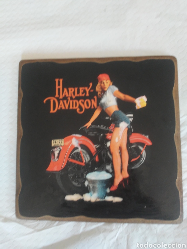 Coches y motocicletas: Cuadro HARLEY DAVIDSON - Foto 1