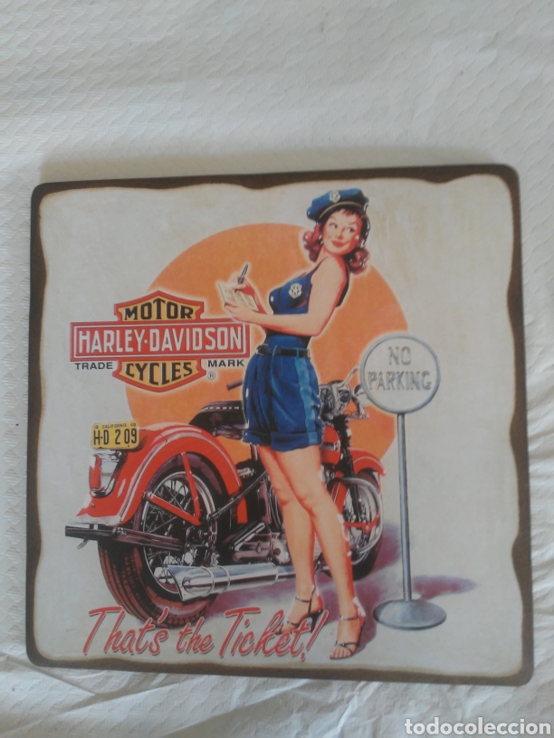 Coches y motocicletas: Cuadro HARLEY DAVIDSON - Foto 1