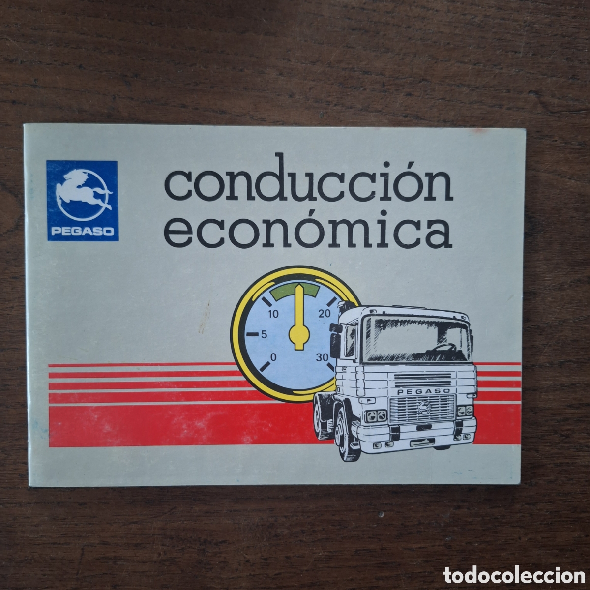 Automobili e Motociclette: Cat&aacute;logo camion pegaso tecno conducion economica