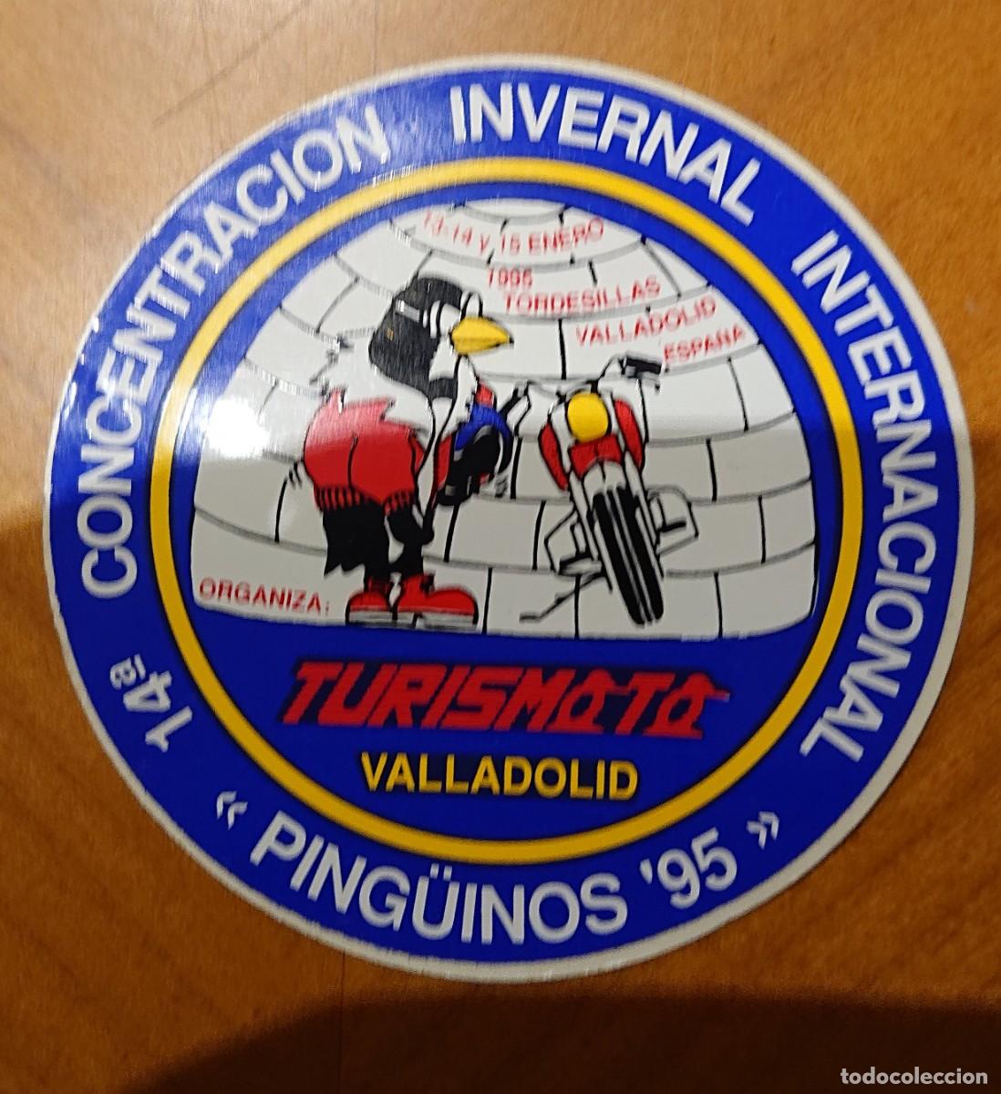 Cars and Motorcycles: Pegatina Ping&uuml;inos 95 Valladolid, original, ved fotos