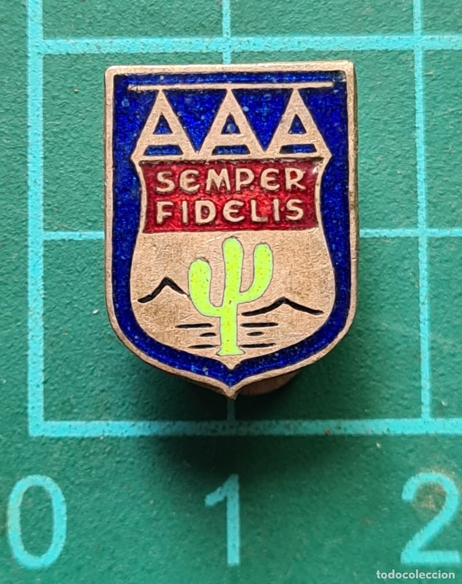 Automobili e Motociclette: Antigua Insignia AAA American Automobile Association Semper Fidelis Carretera Desierto Arizona USA
