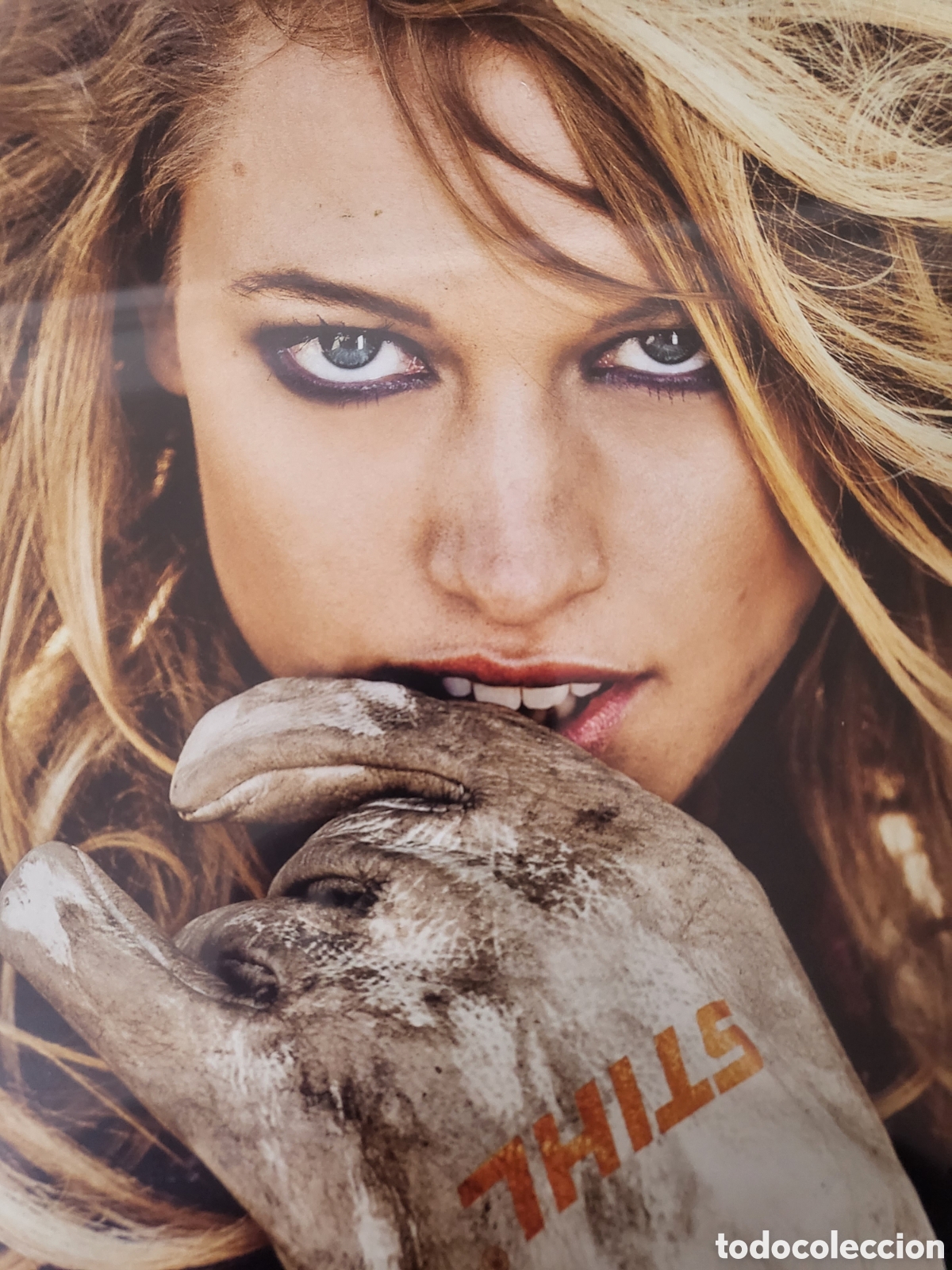 Coches y Motocicletas: STIHL CHICA CUADRO CON GUANTES