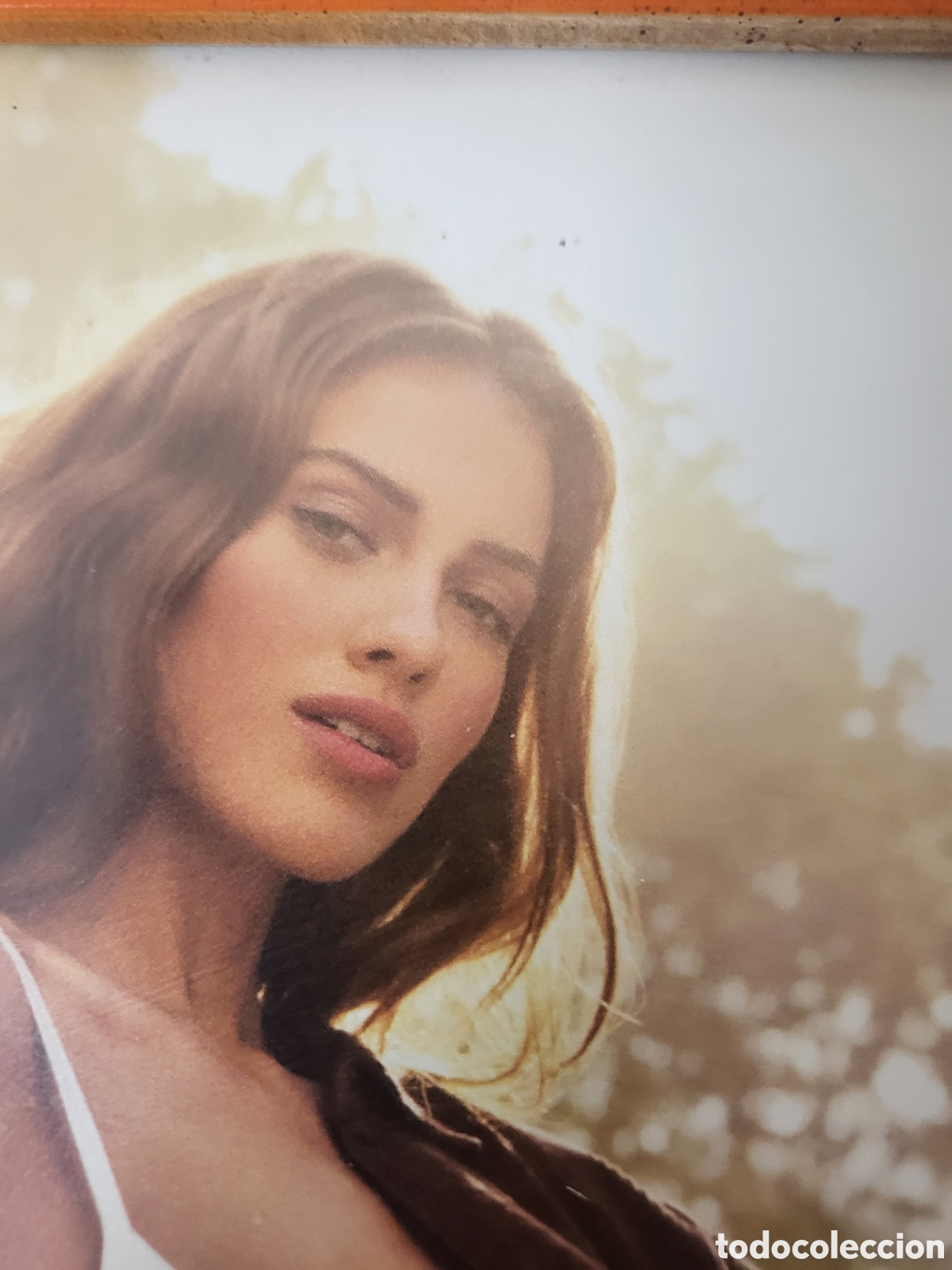 Coches y Motocicletas: CUADRO CHICA STIHL CON MOTOSIERRA