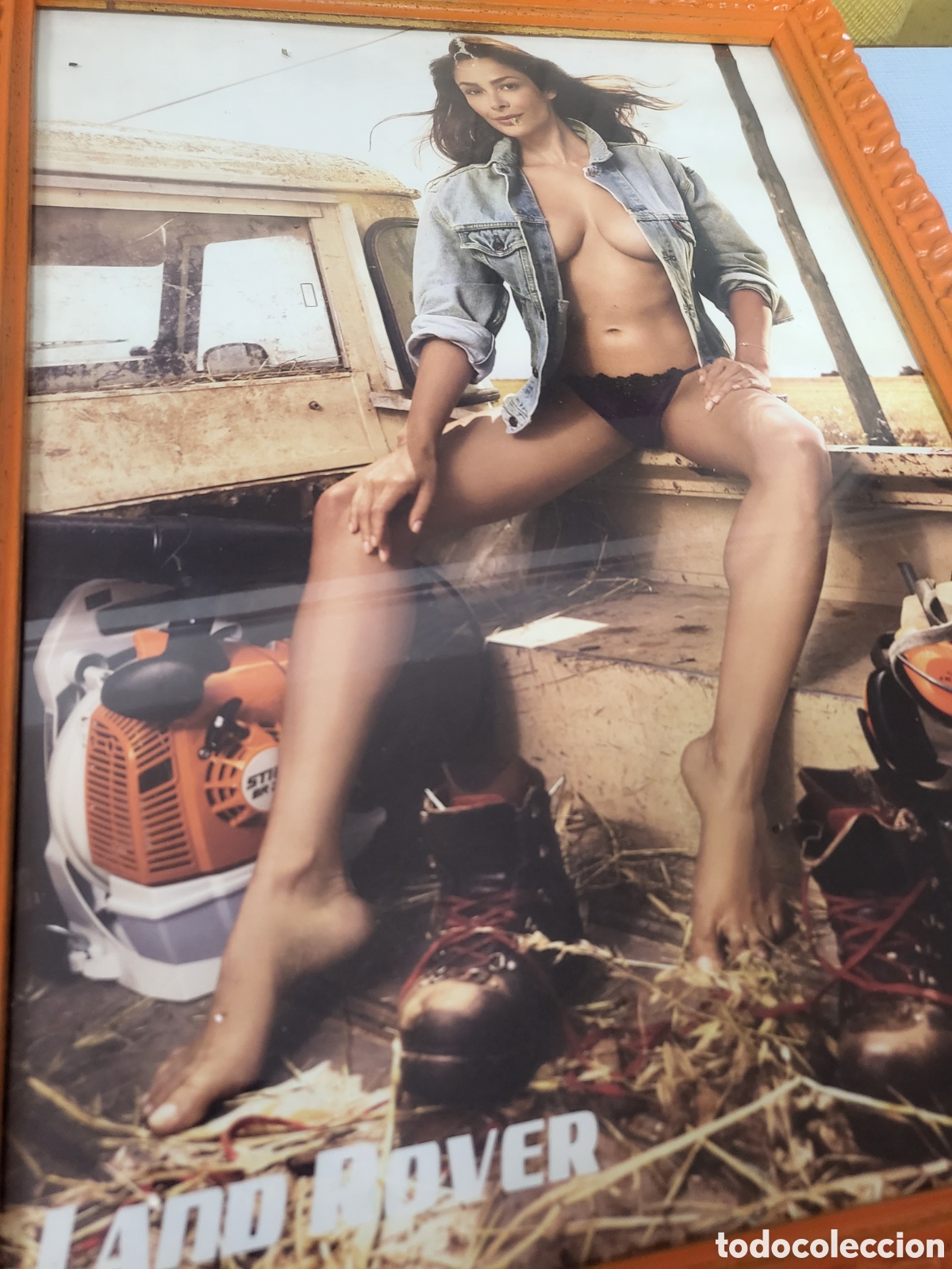 Coches y Motocicletas: CUADRO CHICA STIHL CON HERRAMIENTAS