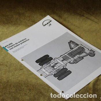 Autos und Motorr&auml;der: Hoja de caracter&iacute;sticas Man Trucks, Chasis de autobus con motor posterior.