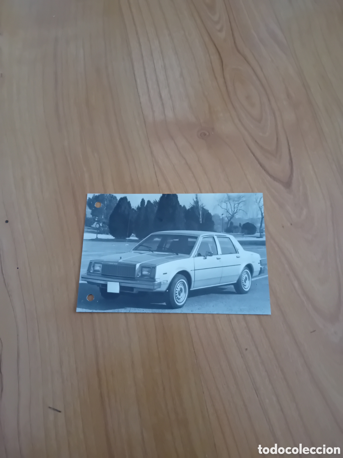 Autos und Motorr&auml;der: TARJETA BUICK SKYLARK 1981. CARACTER&Iacute;STICAS T&Eacute;CNICAS
