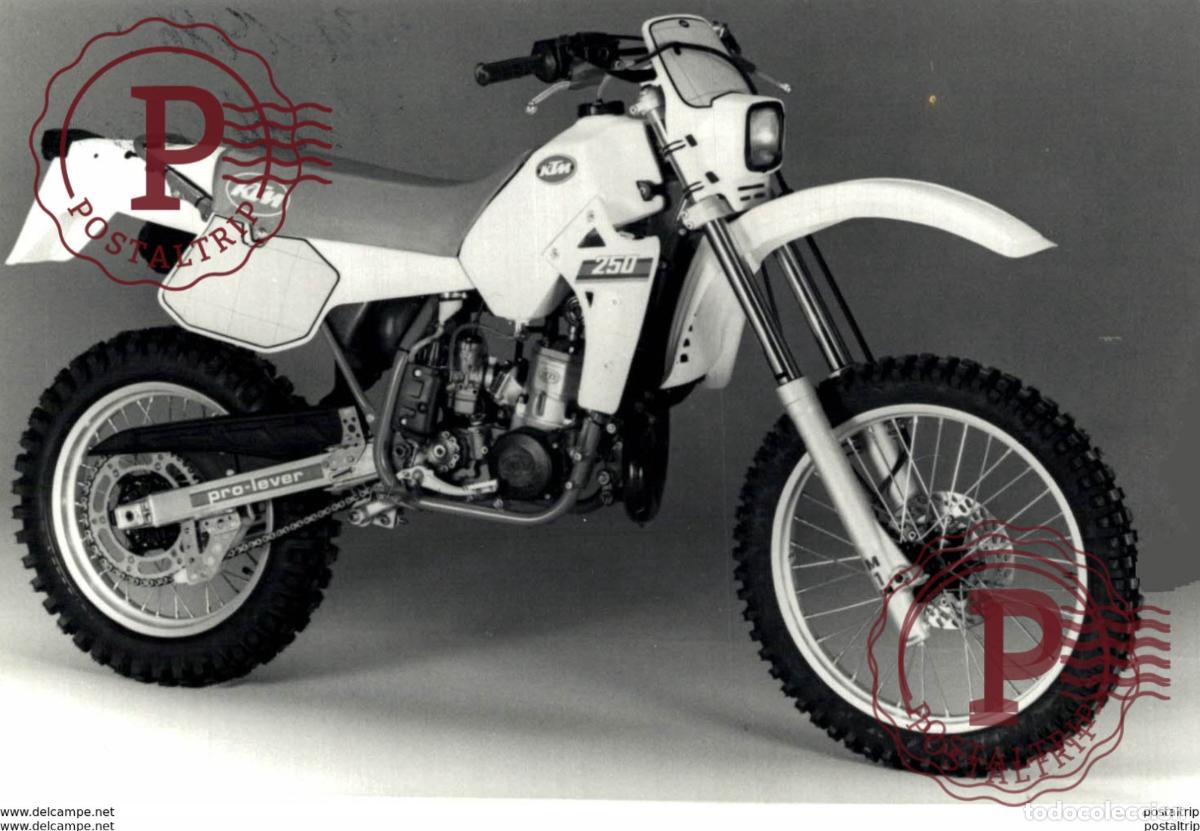 Coches y Motocicletas: KTM 13*85cm Motards Moto MOTOCROSS MOTORCYCLE Doug Douglas J Jackson archive of motorcycles