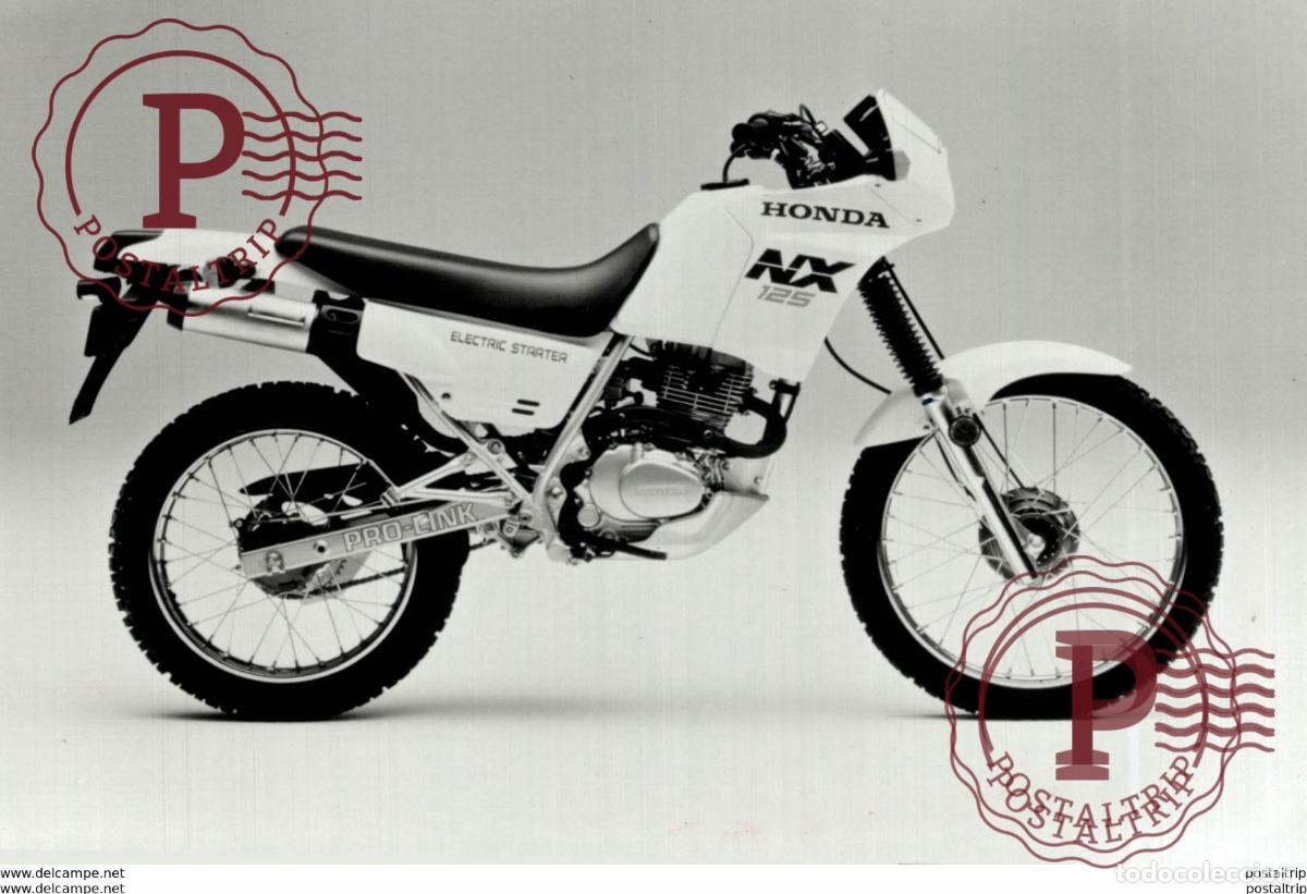 Coches y Motocicletas: HONDA NX +- 14cm x 9cm Moto MOTOCROSS MOTORCYCLE Douglas J Jackson archive of motorcycles
