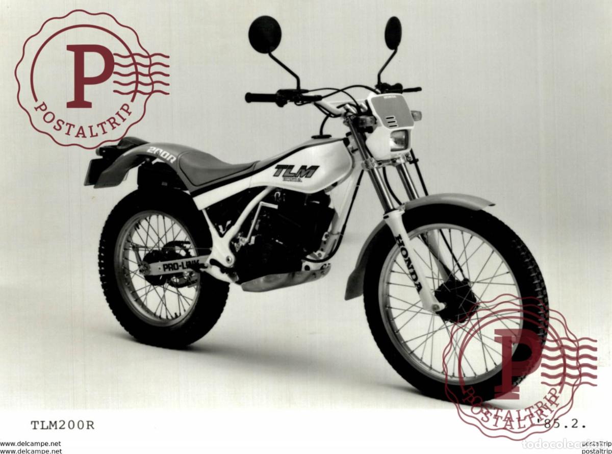 Coches y Motocicletas: TLM +-15cm x 12cm Moto MOTOCROSS MOTORCYCLE Douglas J Jackson archive of motorcycles