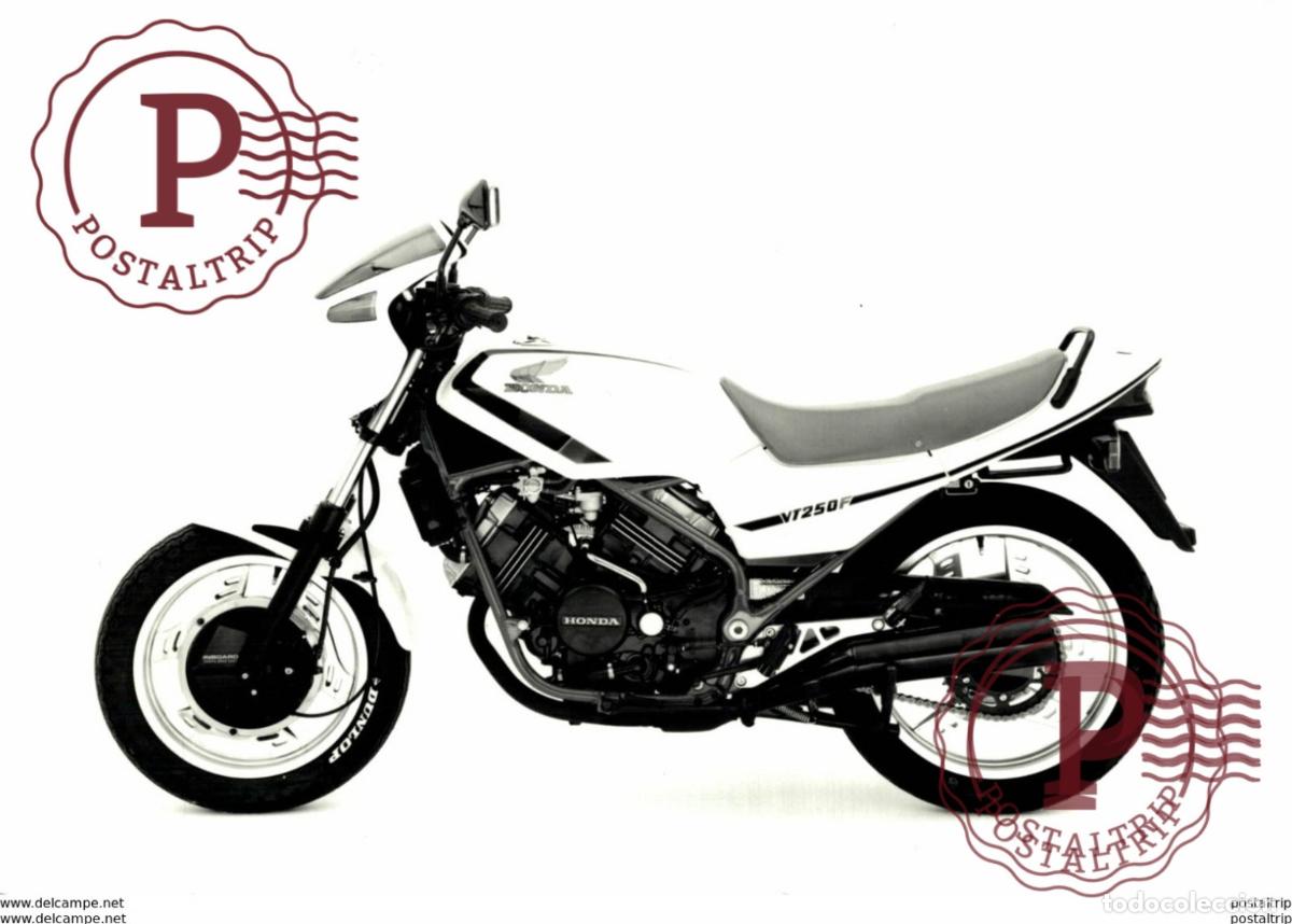 Voitures et Motocyclettes: HONDA VT250F +-17cm x 12cm Moto MOTOCROSS MOTORCYCLE Douglas J Jackson archive of motorcycles