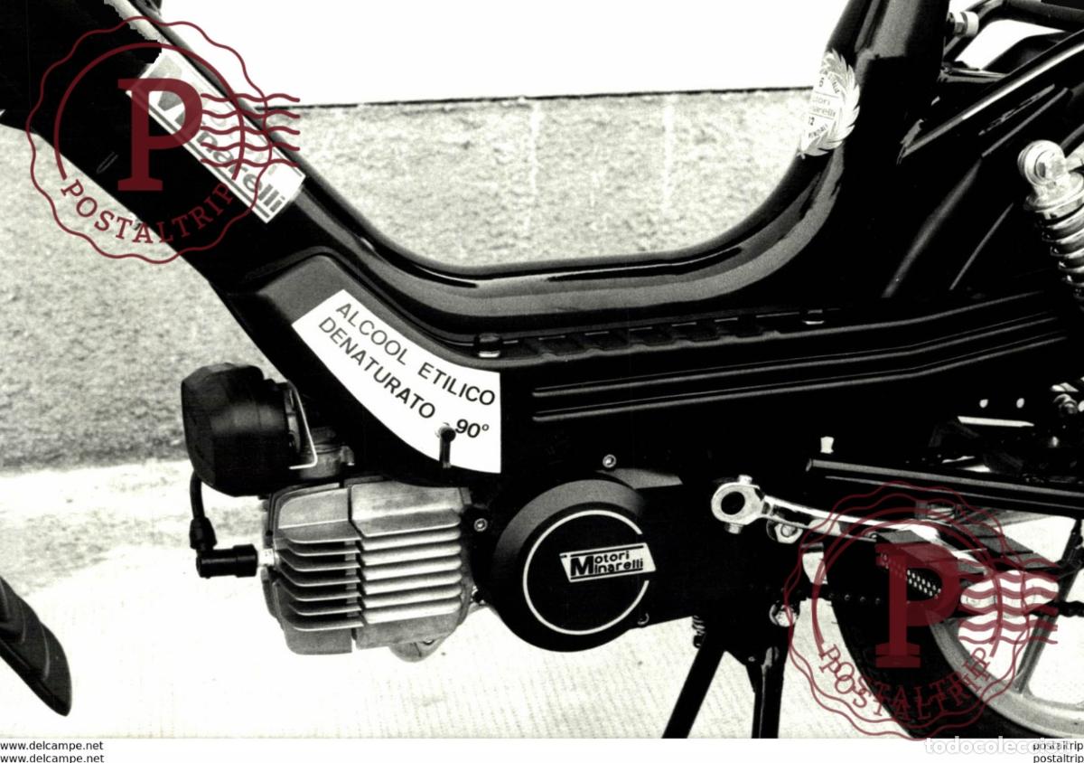Autos und Motorr&auml;der: MOTORI MINARELLI +-17cm x 12cm Moto MOTOCROSS MOTORCYCLE Douglas J Jackson archive of motorcycles