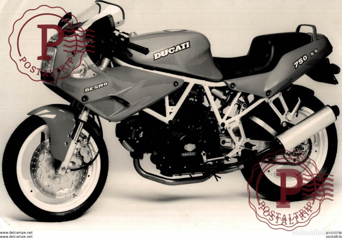 Coches y Motocicletas: DUCATI 750 +-22cm x 13cm Moto MOTOCROSS MOTORCYCLE Douglas J Jackson archive of motorcycles