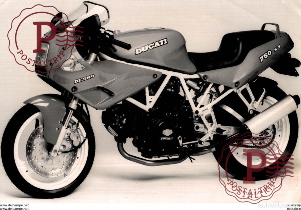 Coches y Motocicletas: DUCATI +-20cm x 13cm Moto MOTOCROSS MOTORCYCLE Douglas J Jackson archive of motorcycles