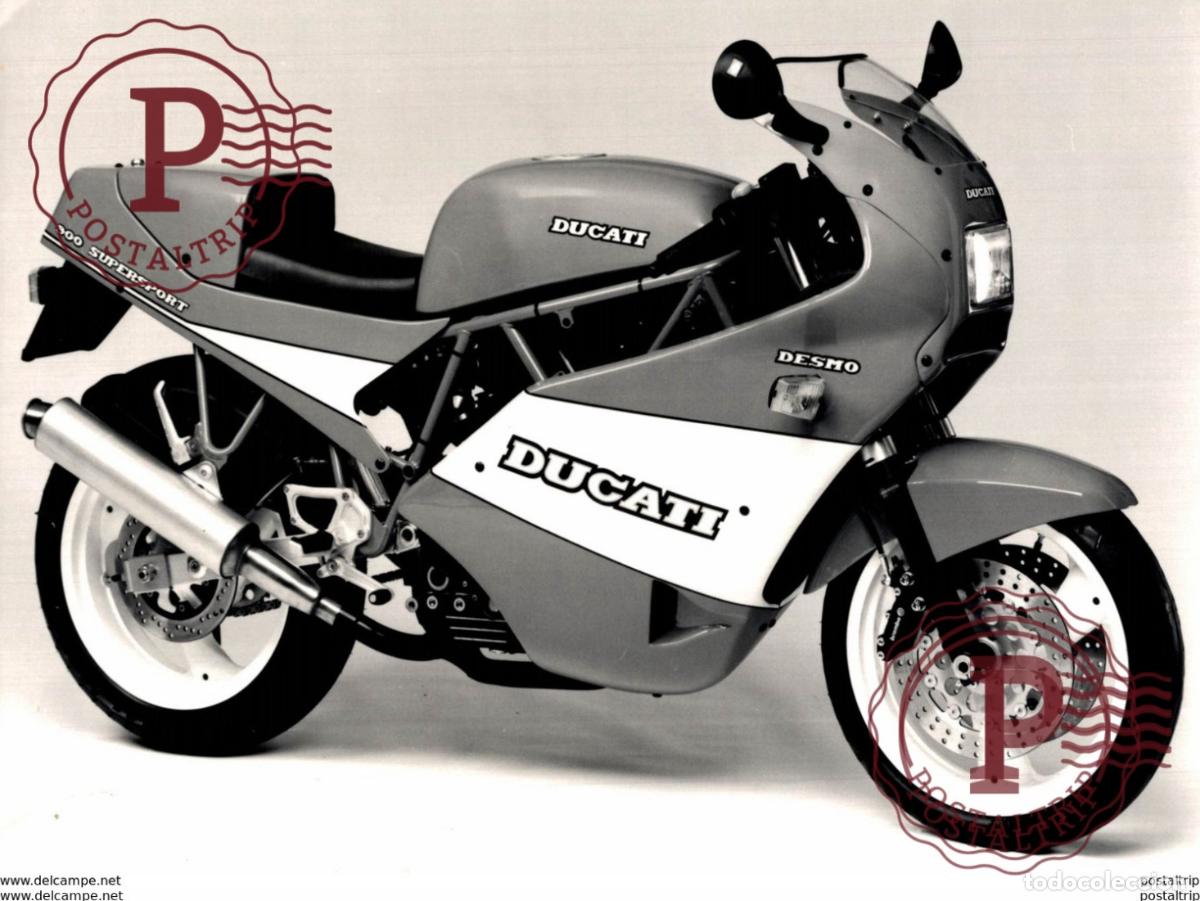 Coches y Motocicletas: DUCATI +-20cm x 13cm Moto MOTOCROSS MOTORCYCLE Douglas J Jackson archive of motorcycles