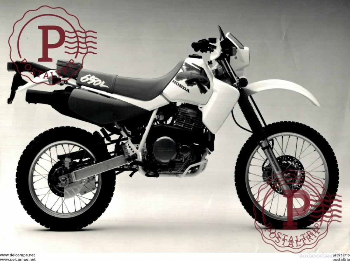 Coches y Motocicletas: HONDA 650 +-23cm x 16cm Moto MOTOCROSS MOTORCYCLE Douglas J Jackson archive of motorcycles