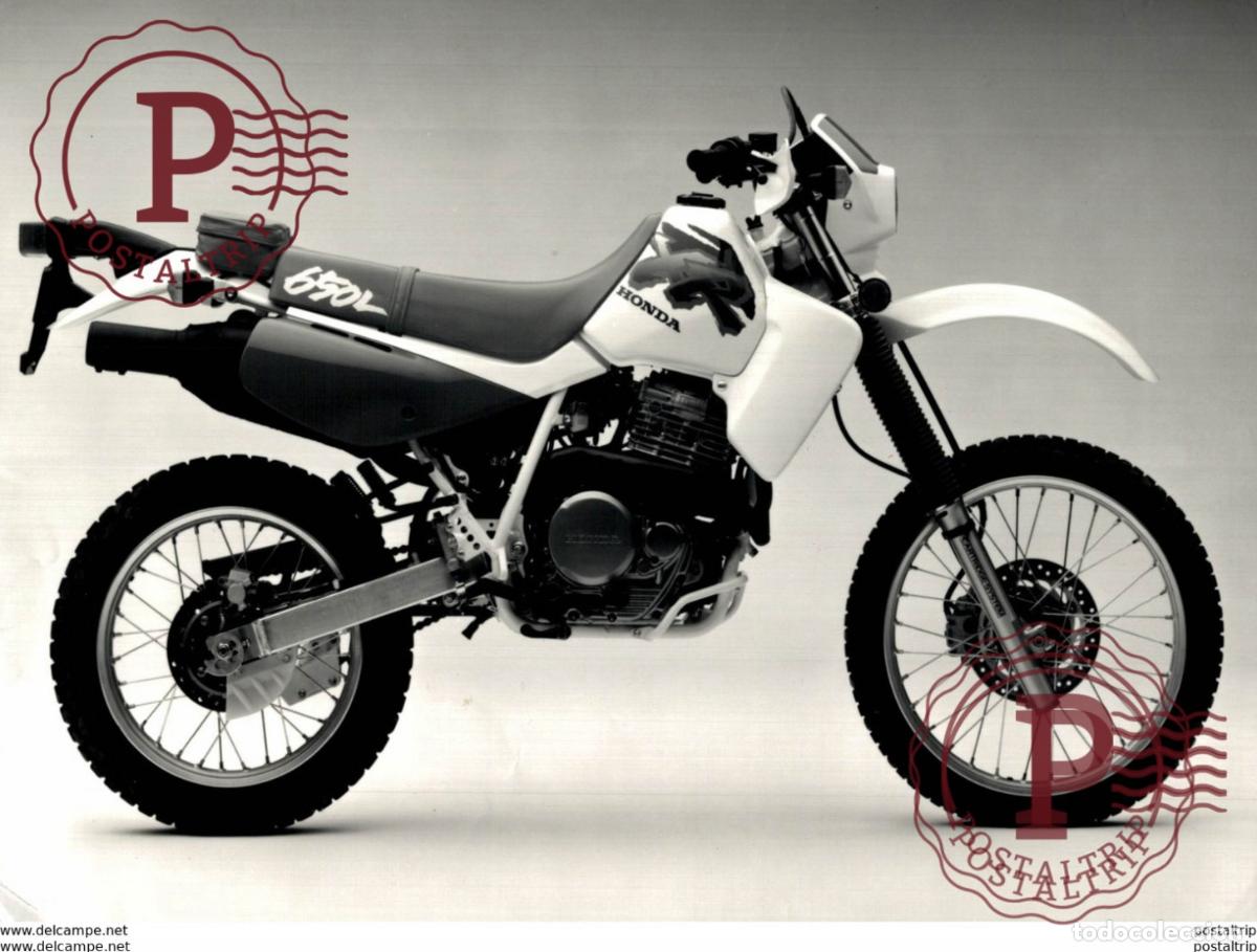 Coches y Motocicletas: HONDA 650 +-23cm x 16cm Moto MOTOCROSS MOTORCYCLE Douglas J Jackson archive of motorcycles