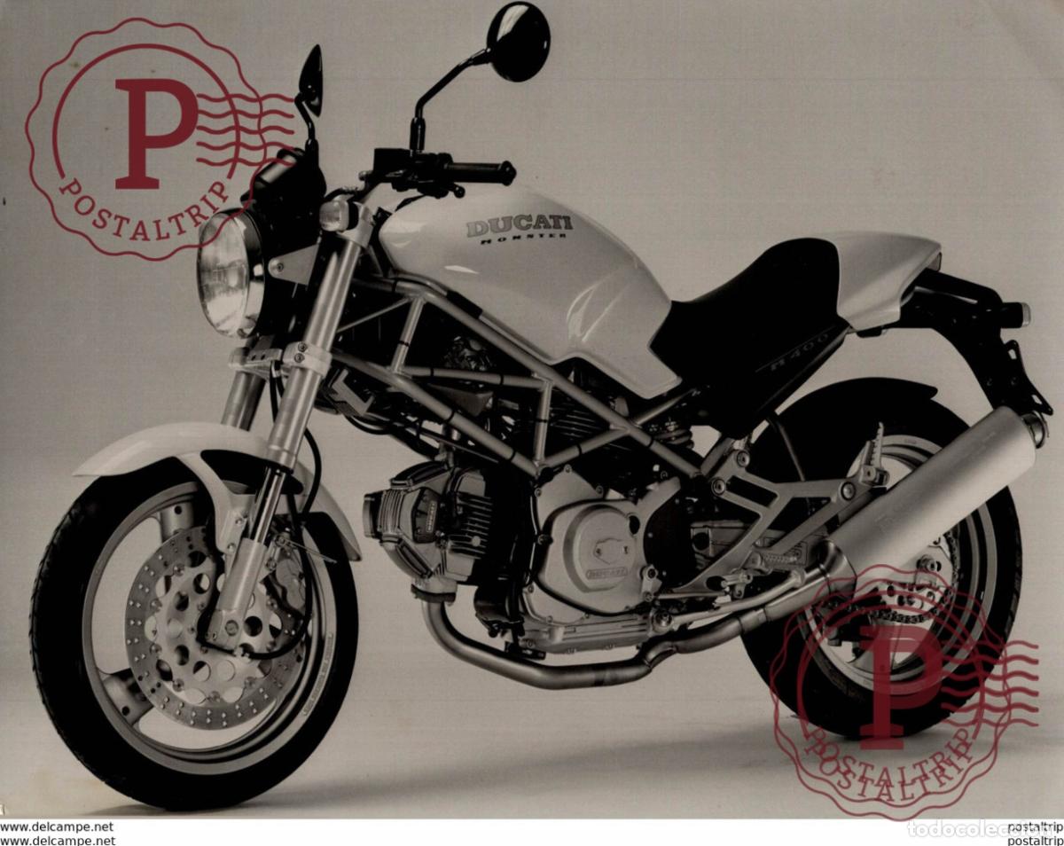 Coches y Motocicletas: DUCATI MONSTER +-23cm x 17cm Moto MOTOCROSS MOTORCYCLE Douglas J Jackson archive of motorcycles