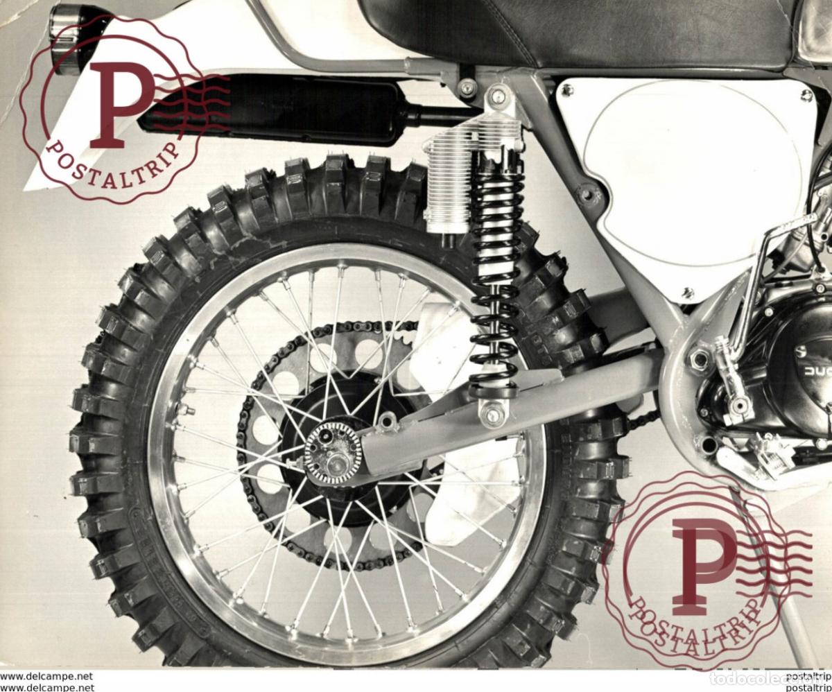 Coches y Motocicletas: DUCATI +-24cm x 17cm Moto MOTOCROSS MOTORCYCLE Douglas J Jackson archive of motorcycles