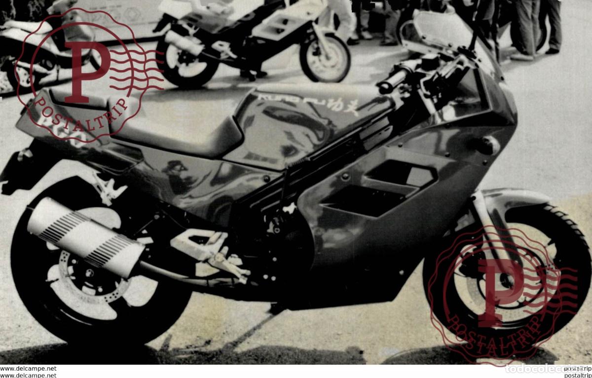 Automobili e Motociclette: P.G.O +-15cm x 10cm Moto MOTOCROSS MOTORCYCLE Douglas J Jackson archive of motorcycles