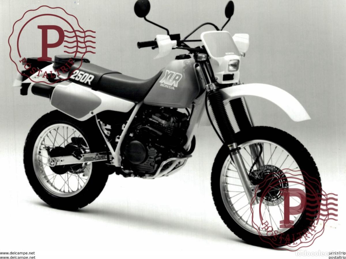 Automobili e Motociclette: Honda +-15cm x 10cm Moto MOTOCROSS MOTORCYCLE Douglas J Jackson archive of motorcycles