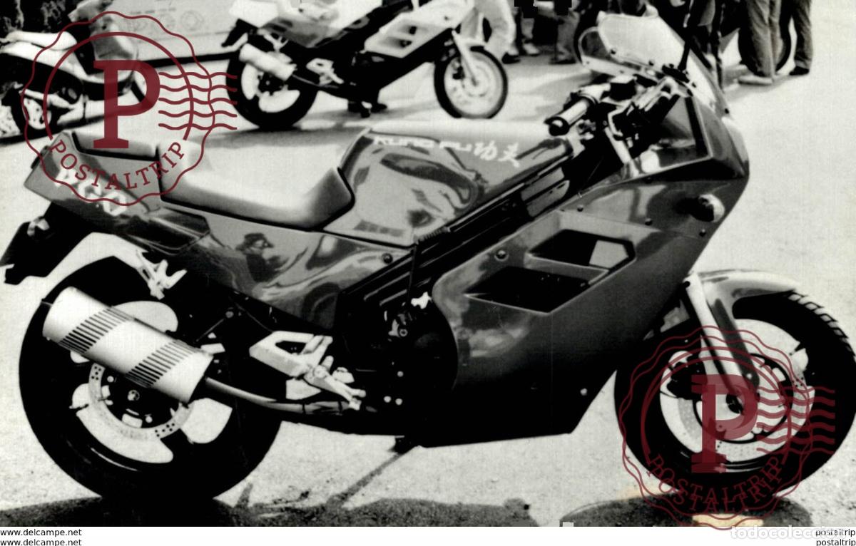 Automobili e Motociclette: P.G.O +-15cm x 10cm Moto MOTOCROSS MOTORCYCLE Douglas J Jackson archive of motorcycles