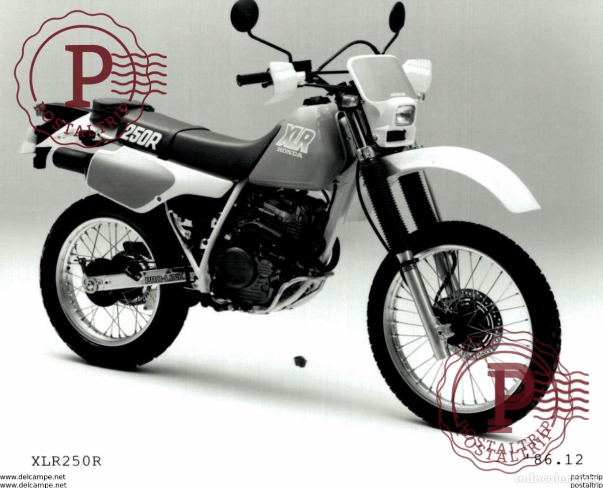 Automobili e Motociclette: Honda 250R +-15cm x 10cm Moto MOTOCROSS MOTORCYCLE Douglas J Jackson archive of motorcycles