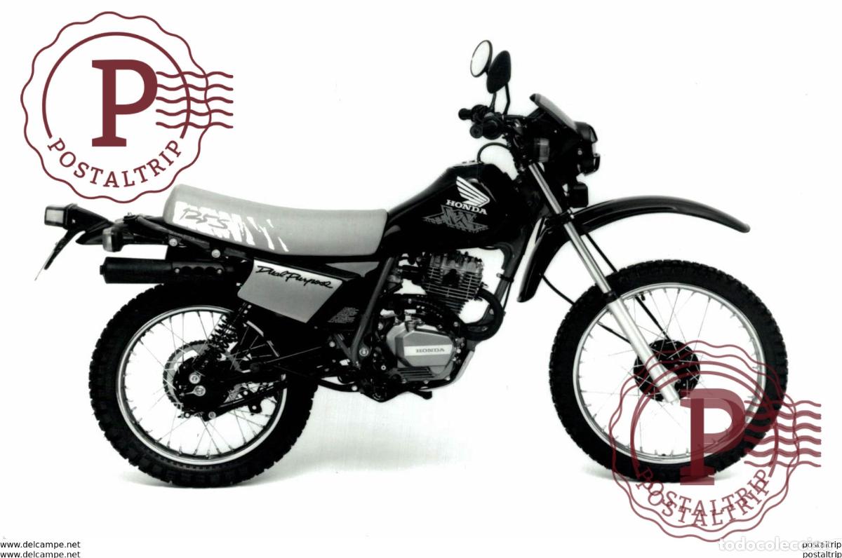 Carros e motociclos: Honda +-17cm x 12cm Moto MOTOCROSS MOTORCYCLE Douglas J Jackson archive of motorcycles