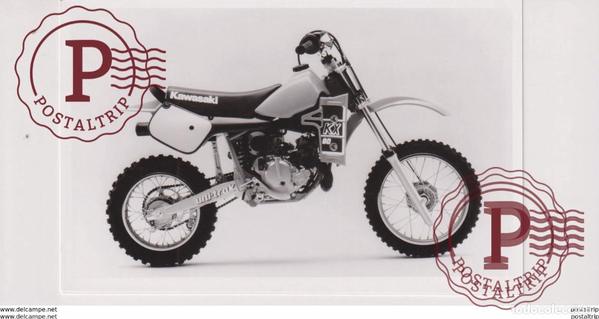 Carros e motociclos: Kawasaki KX60 +-13cm x 10cm Moto MOTOCROSS MOTORCYCLE Douglas J Jackson archive of motorcycles