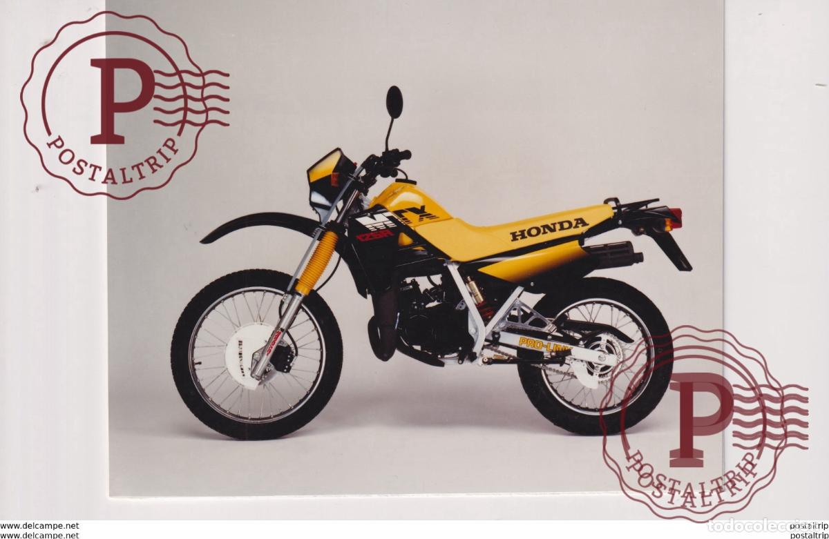 Coches y Motocicletas: Honda MTX 125R +-16cm x 11cm Moto MOTOCROSS MOTORCYCLE Douglas J Jackson archive of motorcycles